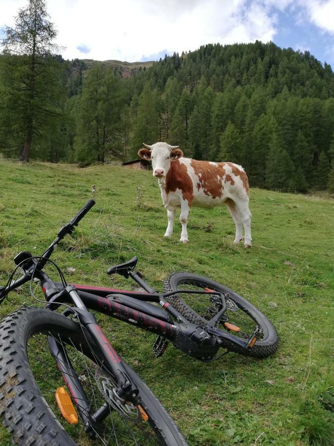 Goserhof Innervillgraten Zewnętrze zdjęcie