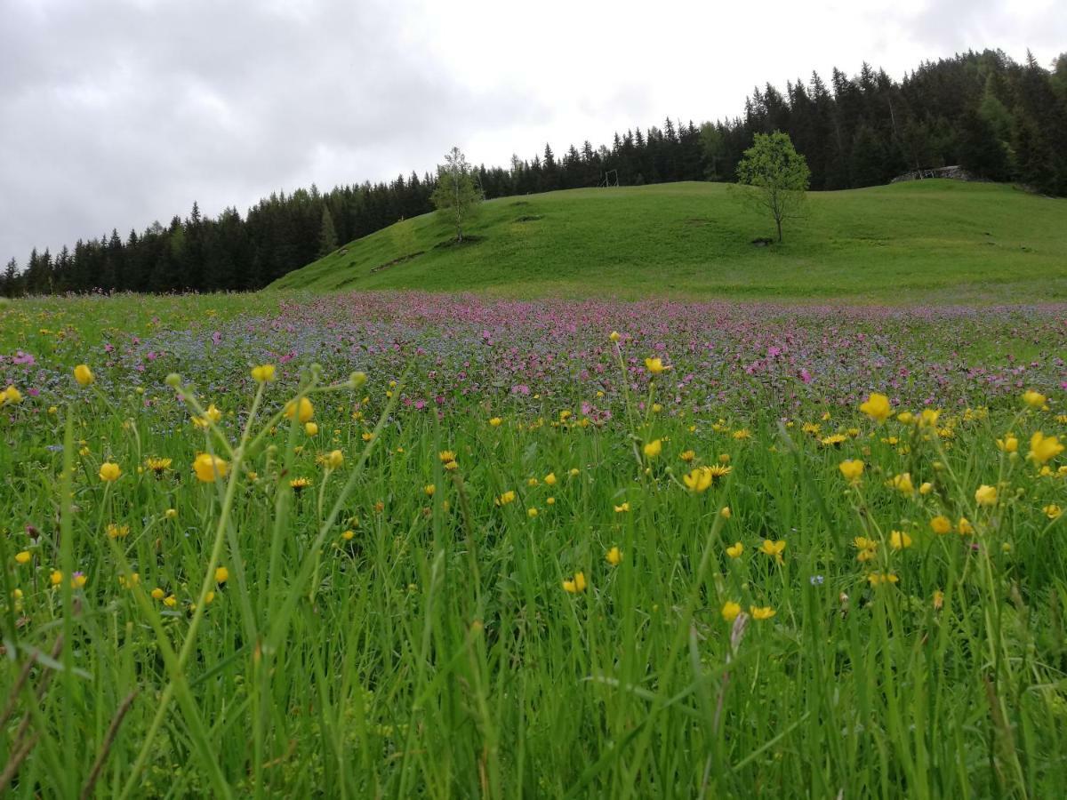 Goserhof Innervillgraten Zewnętrze zdjęcie